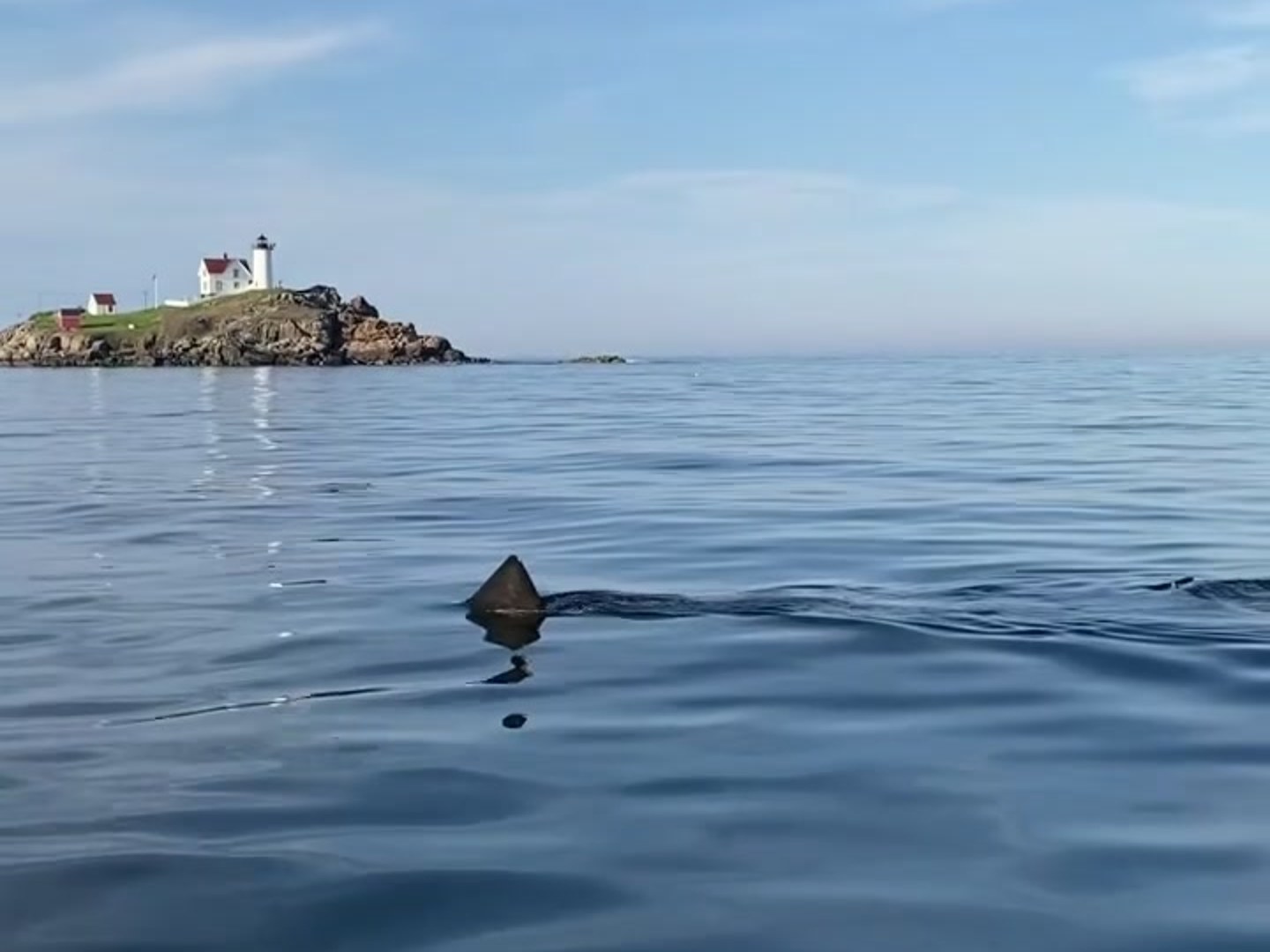 Wolfpack Charters fishing boat on the Maine coast with guests reeling in a catch
